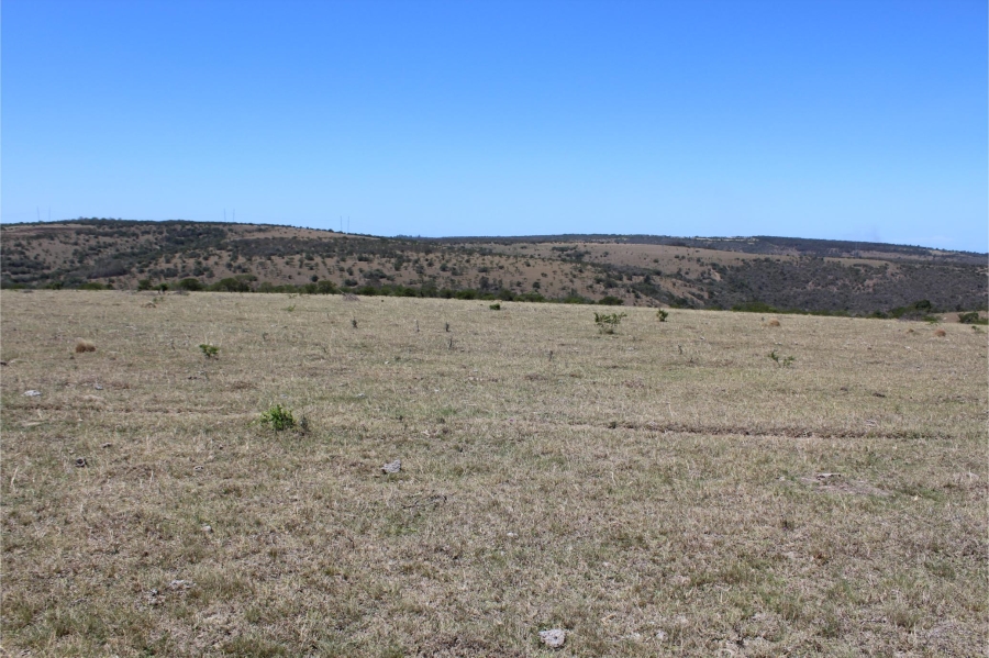 5 Bedroom Property for Sale in Mooiplaas Eastern Cape